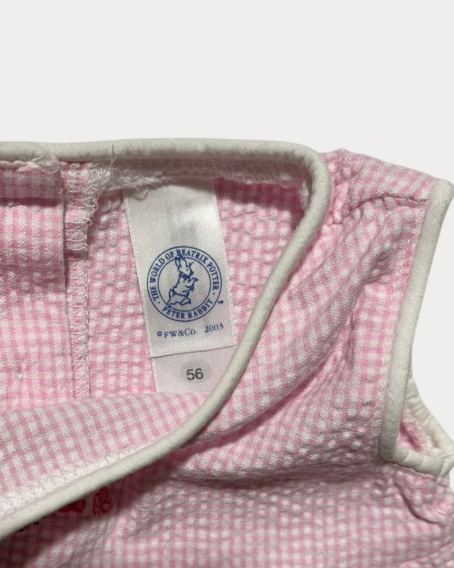 The world of Beatrix Potter - Peter Rabbit dress